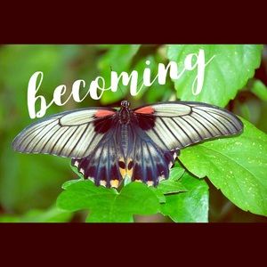 Meet your Posher, Scout